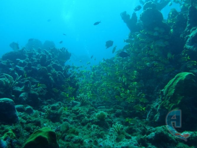 los canales subacuaticos del caribe